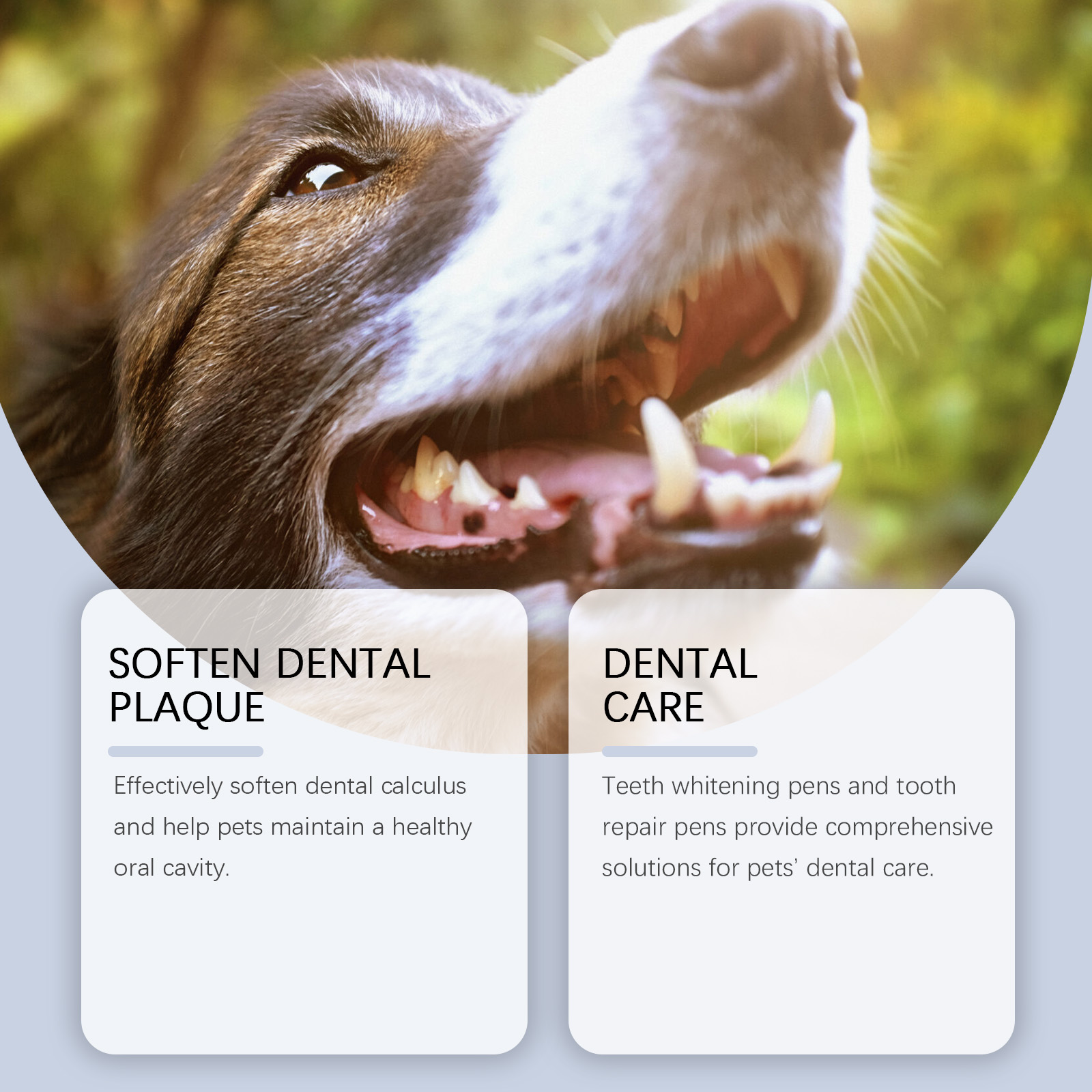 Pet Teeth Whitening Pen Set fo - Teeth Whitening Pens ulasan dan harga