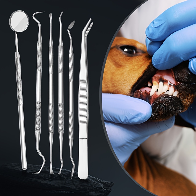 6pcs Soundwave Tartar Remover  - Teeth Whitening Mouthwash ulasan dan harga