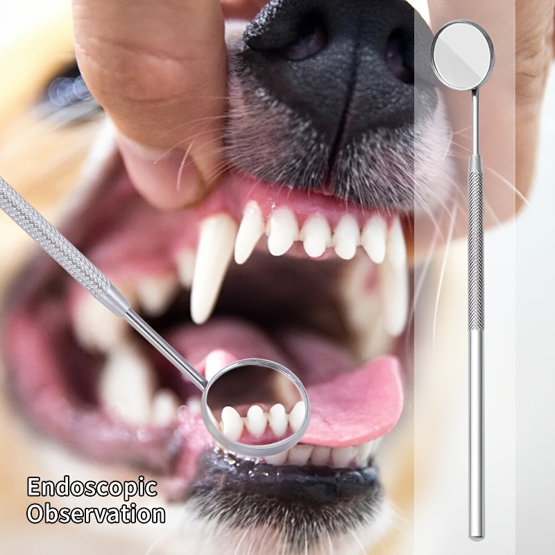 6pcs Soundwave Tartar Remover  - Teeth Whitening Mouthwash ulasan dan harga