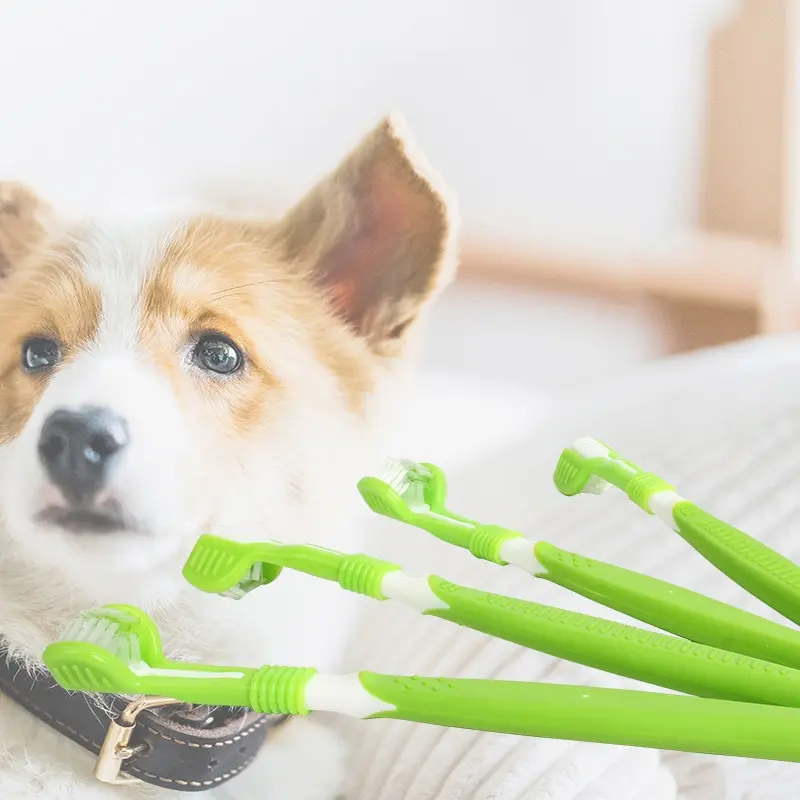 1Pc Pet Toothbrush Dog Cleanin - Teeth Whitening Mouthwash ulasan dan harga